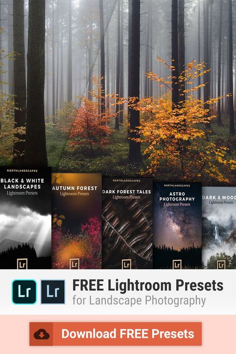 A collection of carefully selected and high-quality Lightroom presets for landscape and travel photography: Dark & Moody Presets / Autumn Forest Presets / Black & White Presets / Astrophotography Presets and more! All presets are compatible with Adobe Lightroom 4-6, CC and Classic (Windows & Mac) as well as the free Lightroom Mobile app for iOS and Android Autumn Preset, Lightroom Free Presets, Photography Topics, Free Presets For Lightroom, Free Lightroom Mobile Presets, Presets For Lightroom Free, Preset Lightroom Free, Presets Lightroom Free, Moody Presets