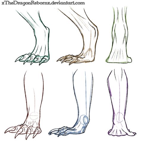 Drawing Dragons, Dragon Anatomy, Feet Drawing, Dragon Drawings, Drawing Legs, Dragon Sketch, Drawing Help, Animal Anatomy, Creature Drawings