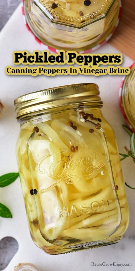 Waterbath Canning Peppers, How To Can Peppers In Vinegar, Canning Wax Peppers, Pickles Peppers Recipe, Banana Pepper Brine Recipe, Canning Hot Peppers Vinegar, Pickling Peppers Canning, Pickled Green Peppers Recipe, Hot Peppers In Vinegar