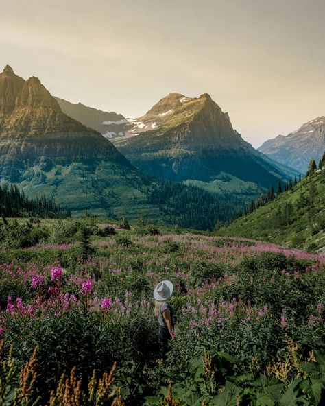 The BEST things to do in Glacier National Park Montana including a map, best photo spots and best Glacier National Park hikes! Details on Hidden Lake, Bowman Lake, St. Mary Falls, Virginia Falls, Trail of the Cedars, Going-to-the-sun road, the highline loop hike, Big Bend, Lake McDonald, Polebridge and more! Plus how to get there, where to stay in Glacier, details for camping in Glacier, and everything you need to know before you go! Highline Trail Glacier National Park, Bowman Lake Montana, Glacier National Park Photos, Lake Mcdonald Glacier National Park, Glacier Photography, Lake Mcdonald Montana, Glacier National Park Hikes, Montana Glacier National Park, Montana Hiking