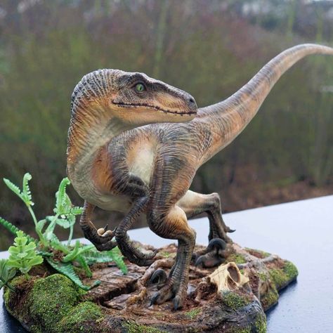 "Jurassic Park Velociraptor Iron Studios Statue 1/10 (Custom)! Hello, this is a custom made Iron Studios Raptor. The Base and the paintjob are custom made. I order one of the best artist that i know to make this peace even better that it already is! This is a real \"one of a kind product\"! Notice: Mostly I do not keep the packaging of my stauts because of space reasons.  So this piece sold without original packaging. I would be very proud if it finds a new home with a true fan :)" Velociraptor Jurassic Park, Jurassic Park Velociraptor, Jurassic Craft, Jurassic Park Raptor, Dinosaur Park, Jurassic Park World, Dinosaur Art, Prehistoric Animals, Real One