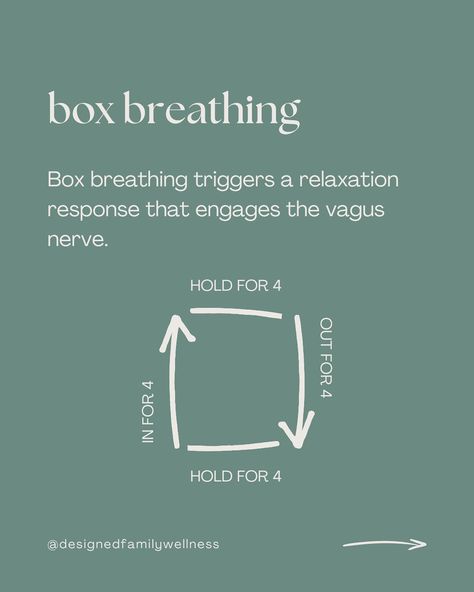 Vagus Nerve Breathing, Labour Breathing Techniques, Breathing Techniques For Labor, Wellbeing Space, Calm Box, Box Breathing, The Vagus Nerve, Relaxation Response, How To Calm Nerves