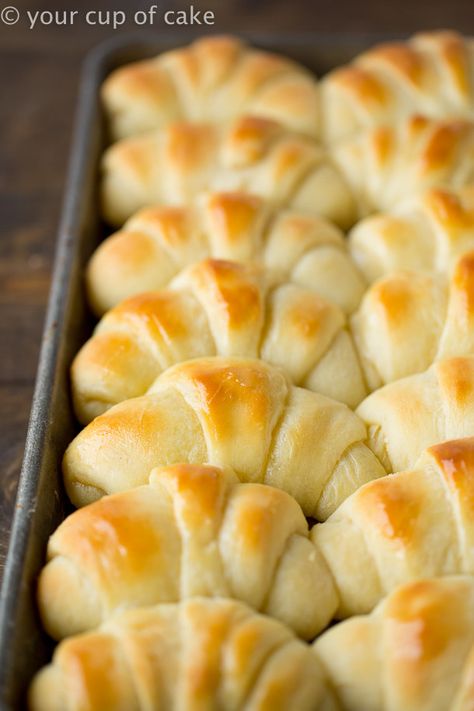 The World's Best Potato Rolls will ruin you.  You'll never want to make frozen rolls again after having these buttery, delicious, pillowy soft dinner rolls.  The Recipe for the World's Best Potato Rolls You think I'm kidding.  I dare you to find a better recipe!  Every time I make these people beg for the recipe and say, 'These are the best rolls I've ever had.'  I made them for my husband the first time last week and when he bit into one his eyes lit up like a little kid at Christmas! He was Best Roll Recipe, Best Rolls, Rolls Dinner, Cup Of Cake, Frozen Rolls, Potato Rolls, Bread Rolls Recipe, Freshly Baked Bread, Homemade Rolls