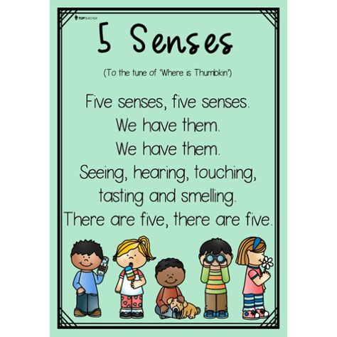 5 senses song top teacher 5 Senses Songs Preschool, Five Senses Taste Activities, 5 Senses Poster, 5 Senses Preschool, Where Is Thumbkin, November Preschool, Five Senses Preschool, 5 Senses Activities, Senses Preschool