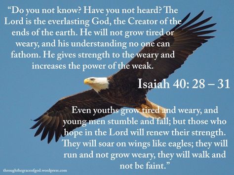 God gives strength to the weary. He is our provider. Isiah 40, Romans Bible, Isaiah 40 28, God The Creator, Hope In The Lord, Wings Like Eagles, Bible Study Methods, Scripture Pictures, Ends Of The Earth