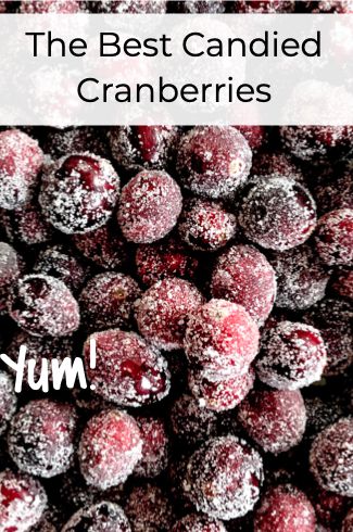 Candied Cranberries, 3 Ingredient Desserts, Sugared Cranberries, Holiday Plates, Charcuterie And Cheese Board, Cranberry Recipes, Christmas Brunch, Plate Decor, Alcoholic Beverages