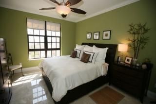 olive bedroom-I think I like the wall color for our bedroom Olive Walls, Bedroom Decor Design Ideas, Olive Bedroom, Olive Green Bedrooms, Future Bedroom, Bedroom Furnishings, Green Bedroom, Bedroom Color, Bedroom Guest