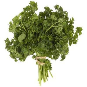 growing herbs in the shade Harvest Parsley, Parsley Benefits, Growing Parsley, Parsley Plant, Growing Asparagus, Wild Lettuce, Companion Gardening, Preserving Herbs, Vegetable Shop