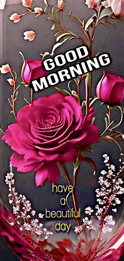 Good Morning Flowers Rose My Love, Good Morning Images Flowers Rose, Good Morning Roses Images Love, Good Morning Rose Images, Good Morning Status, Beautiful Good Morning Wishes, Happy Good Morning Images, Daily Wishes, Good Morning Dear Friend