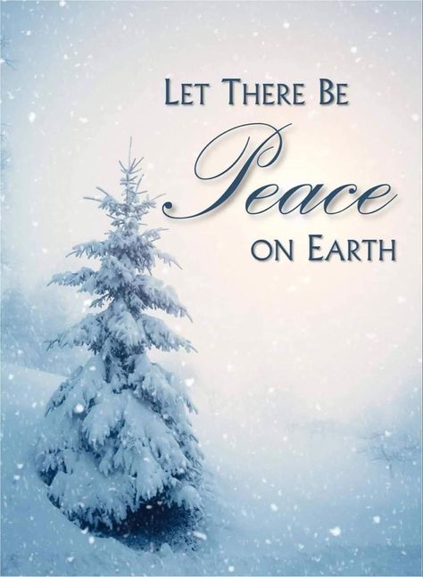 Winter Snow Pictures, Peace Images, Christmas Bible Verses, Photos For Facebook, Snow Pictures, Christmas Cover, Winter Images, Christmas Post, Winter Scenery