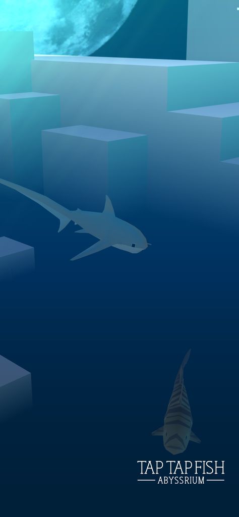 My Thresher Shark:)  #taptapfish Download: http://onelink.to/jhe4sh Thresher Shark Wallpaper, Shark Wallpaper, Thresher Shark, Wallpaper Art, Sharks, Art Wallpaper, Cars, Movie Posters, Quick Saves