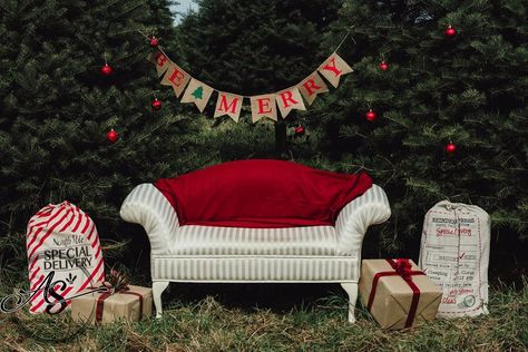 Easy Christmas Mini Setup, Christmas Tree Farm Pictures, Tree Farm Pictures, Christmas Mini Shoot, Christmas Session, Red Bench, Farm Pictures, Photography Mini Sessions, Holiday Photoshoot