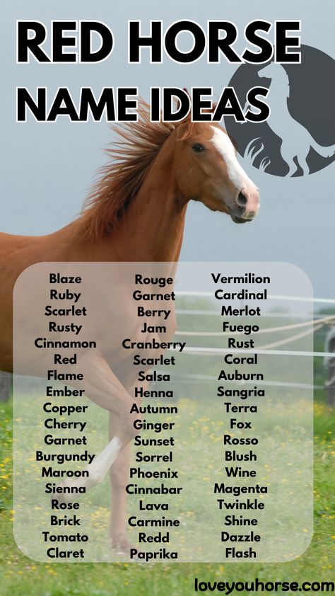 Choosing the right name for a horse is a significant event for any owner.

A name is more than just an identifier; it reflects the horse’s personality, characteristics, and the bond between the horse and its owner.

When it comes to red-themed names, the allure is undeniable. Red is a color associated with passion, energy, and strength—attributes often seen in horses. Unique Horse Names, Horse Name Ideas, Themed Names, Horse Hacks, Palomino Horse, Red Horse, Horse Things, Personality Characteristics, Horse Names