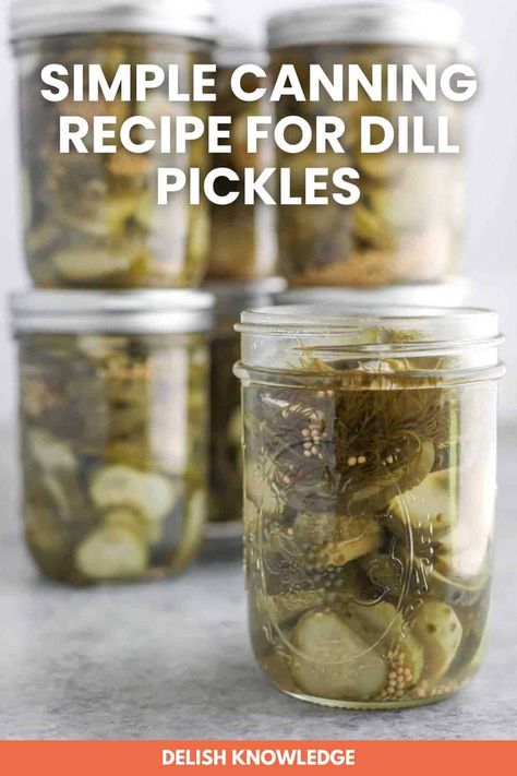 Simple Canning Recipe for Dill Pickles - Delish Knowledge Canning Dill Pickles Recipe, Pickle Recipes Canning, Dill Relish Canning Recipe, Canning Cucumbers, Simple Canning, Canning Homemade Salsa, Garden Cucumbers, Homemade Pickles Dill, Dill Pickle Recipe