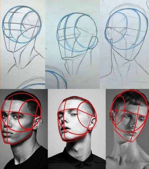 Portrait Drawing Exercises, How To Draw A Face 3/4 View, Head Toturial Draw, Human Head Reference Photo, Loomis Method Head Front View, Head Drawing Practice, Face Views Angles, Head Views Reference, Loomis Method Head Angles