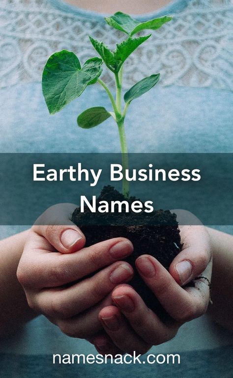 20 unique and catchy earthy business name ideas. Earthy Names For Business, Greenhouse Name Ideas, Herbal Business Names, Earthy Business Names, Apothecary Name Ideas, Holistic Business Names, Earthy Words, Wellness Business Name Ideas, Plant Business Name Ideas