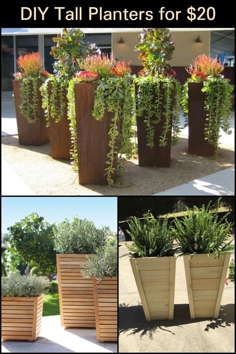 This DIY Tall Planter is so Simple You'll Want to Build Your Own ASAP! Diy Large Planters Outdoor, Diy Tall Planters, Diy Large Planters, Large Planters Outdoor, Planter Gardens, Plant Planters, Potting Plants, Planter Decoration, Planter Plants