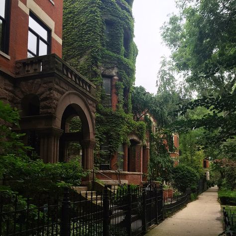 The Children of Lincoln Park Nyc Townhouse, Lincoln Park Chicago, Chicago Aesthetic, Chicago Summer, My Kind Of Town, Lincoln Park, City Limits, Dream Apartment, Park Homes