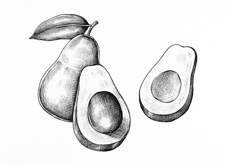 Hand drawn fresh avocado in black and white | premium image by rawpixel.com Avocado Drawing, Avocado Illustration, Pineapple Drawing, Draw Food, Pineapple Vector, Cocktails Vector, Lemon Set, Apple Vector, Fruit Icons