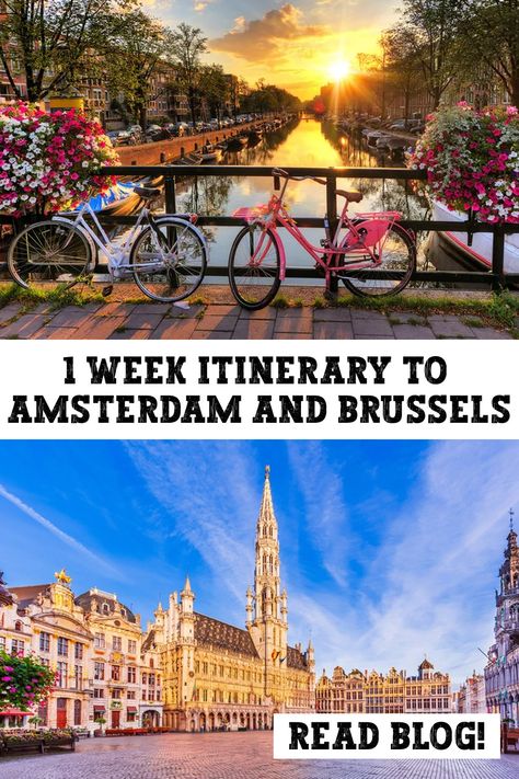 1 Week Itinerary to Amsterdam and Brussels - Forever Traveling Brussels Travel, Amsterdam Itinerary, Germany Trip, Amsterdam Travel, Europe Vacation, Brussels, Spring Break, Netherlands, Amsterdam