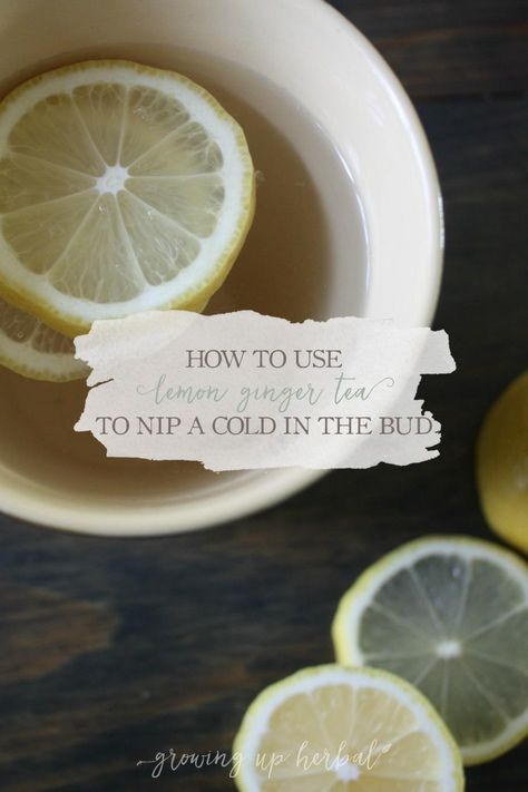 Feel a cold coming on? No problem. This lemon ginger tea is just the thing you need to help stimulate your body into action. Easy to make, and kids love it. Lemon Ginger Tea, Cold Tea, Homemade Detox, Full Body Detox, Natural Detox Drinks, Ginger Essential Oil, Herbal Drinks, Lemon Ginger, Detox Drinks Recipes