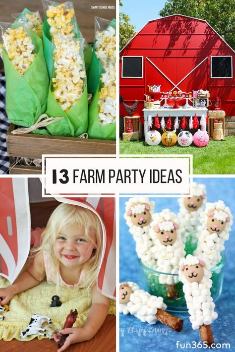 Farm Birthday Party Invitations, Themed Birthday Party Ideas, Watermelon Birthday Parties, Farm Animals Birthday Party, Farm Themed Birthday Party, Bird Party, Farm Animal Birthday, Watermelon Birthday, Farm Birthday Party