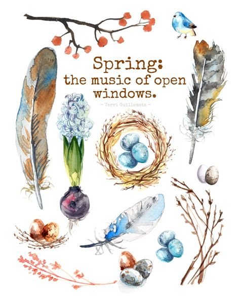 Spring Printables Free, Birds Feathers, Spring Printables, Spring Equinox, Bohol, Open Window, Nature Journal, Spring Inspiration, Hello Spring