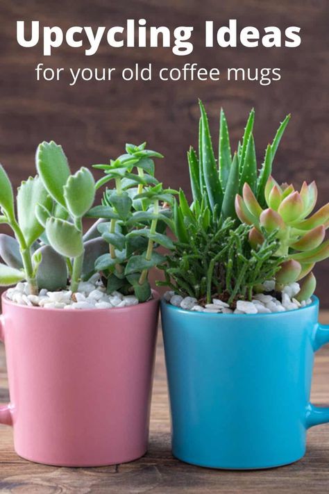 plants in old coffee mugs with small stones Coffe Mug Cake, Coffee Cup Crafts, Coffee Mug Crafts, Coffee Cups Diy, Gift Wrapping Station, Homemaking Tips, Earth Day Crafts, Store Hacks, Mug Crafts