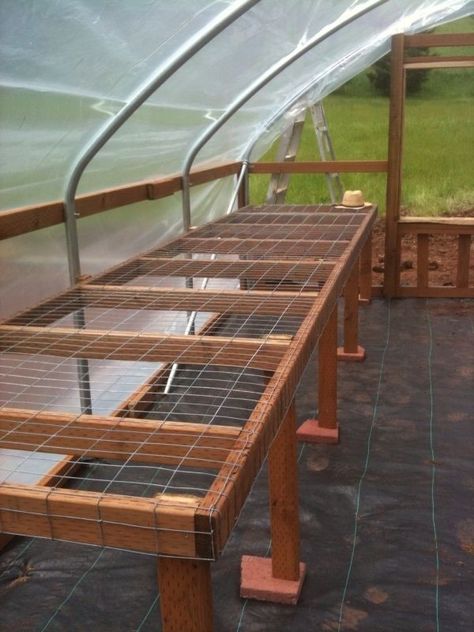 Greenhouse Renovation, Diy Greenhouse Shelves, Greenhouse Tables, Inside A Greenhouse, Greenhouse Shelves, Greenhouse Benches, Greenhouse Farming, Diy Greenhouse Plans, Best Greenhouse