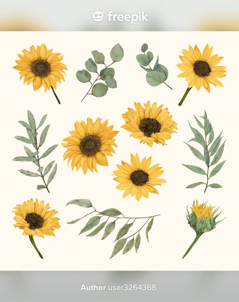 Boho sunflowers with eucalyptus leaves P... | Premium Vector #Freepik #vector #flower #vintage #floral #hand Printable Pictures, Flower Vintage, Eucalyptus Leaves, Vintage Floral, Premium Vector, Graphic Resources, Sunflower, Flowers, Floral