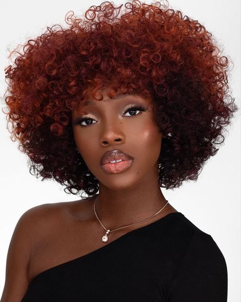 Hair Color Ideas For Natural Black Women, Black Women With Copper Hair, Ginger And Burgundy Natural Hair, Ginger Afro Wig, Copper Hair Natural Black Women, Afro Wig Styles, Afro Hairstyles Color, Curly Afro Hairstyles For Black Women, Copper Afro Hair