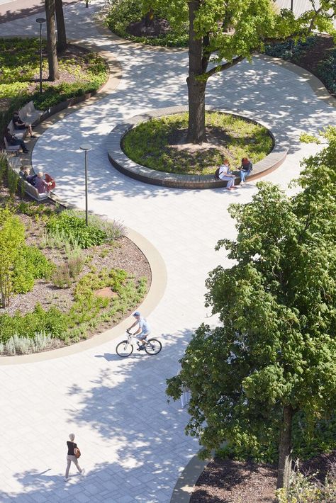 Gallery of Freedom Square / 501 architects - 15 Plaza Design, Novo Nordisk, Urban Landscape Design, Viborg, Public Square, Shenyang, Landscape Architecture Design, Urban Park, Parking Design