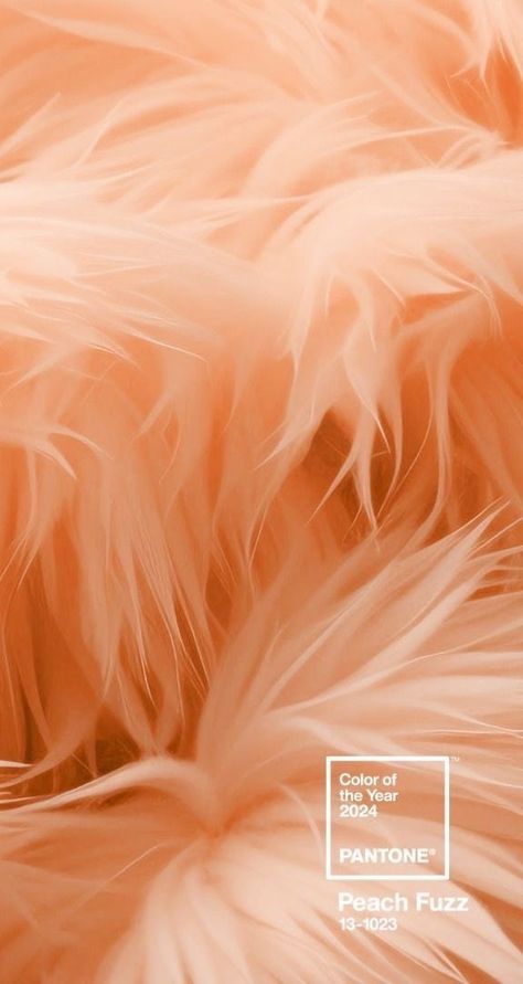 Pantone 2024, Color Of The Year 2024, Cmf Design, Beauty Hair Color, Peach Aesthetic, Color Vibe, Whatsapp Wallpaper, Peach Blush, Peach Trees