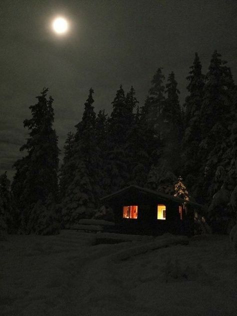 The Woods At Night, Woods At Night, A Cabin In The Woods, Lake Cabin, Winter Cabin, I Love Winter, Lake Cabins, A Cabin, Cabin In The Woods