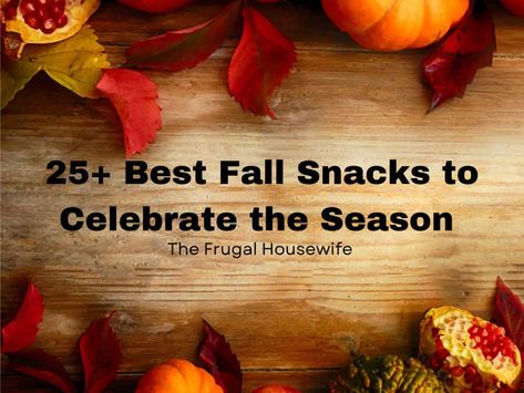 25+ Best Fall Snacks You'll Love - The Frugal Housewife Cinnamon Delights, Vegan Apple Muffins, Spiced Pretzels, Book Club Snacks, Pumpkin Fritters, Pumpkin Streusel Muffins, Dehydrated Apples, Pumpkin Dip, Pumpkin Pie Smoothie