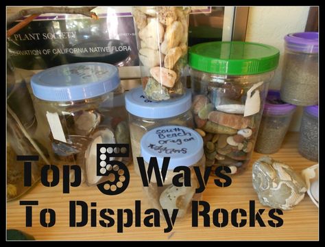 Display Rock Collection, Rock Collection Display, Homeschool Nature Study, Training Ideas, Exploring Nature, Bridal Shower Centerpieces, Glass Fruit Bowl, Collection Display, Nature Table