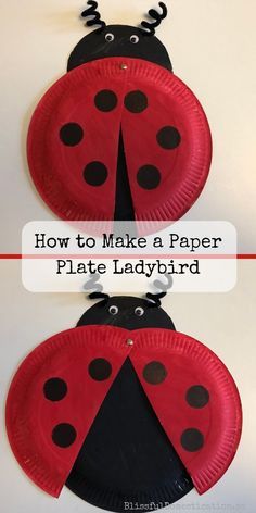 Ladybird Craft, Ladybug Craft, Paper Plate Animals, Rainbow Craft, Paper Plate Craft, Paper Plate Crafts For Kids, Ladybug Crafts, Christian Kids, Paper Plate Crafts