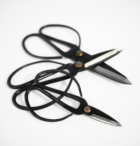 10 Easy Pieces: Floral Scissors - Gardenista Herb Scissors, Flower Scissors, Starry String Lights, Garden Scissors, Gardening Zones, Charming Garden, Kitchen Scissors, Growing Herbs, Edible Garden