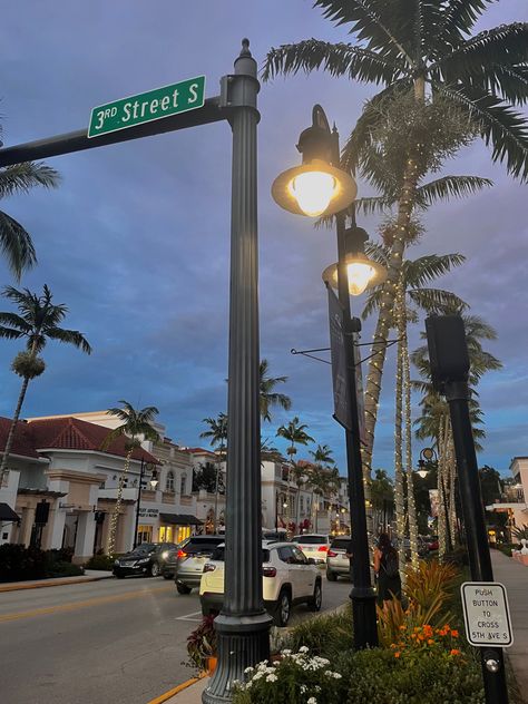 Street at Night 
Cars Miami College Aesthetic, Florida Night Aesthetic, South Florida Aesthetic, Naples Florida Aesthetic, Florida Aesthetic Night, Florida Life Aesthetic, Florida Astethic, Miami Florida Aesthetic, Florida Summer Aesthetic