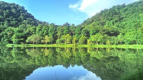 Escape to Serenity: Embark on a Tranquil Retreat in Cuc Phuong National Park High Biodiversity, Cuc Phuong National Park, Vietnam Travel Guide, Tourism Development, Tranquil Retreat, Nature And Wildlife, Nature Conservation, Wildlife Conservation, Natural Scenery