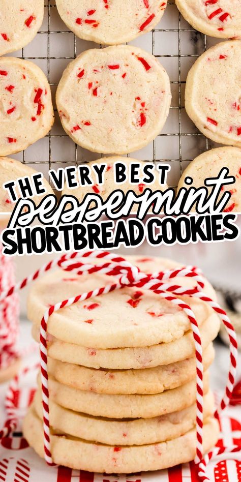 Peppermint Shortbread Cookies Peppermint Extract Cookies, Christmas Cookies Recipes Peppermint, Peppermint Andes Cookies, Peppermint Holiday Treats, Peppermint Shortbread Cookies Recipe, Easy Delicious Christmas Cookies, Pheffernuese Cookies Recipe, Christmas Shortbread Cookies Recipes, Peppermint Butter Cookies