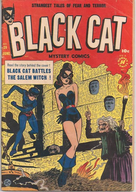 Pulp Fiction Magazine, Black Cat Comics, Comic Book Heroines, Vintage Black Cat, Comic Book Girl, Strange Tales, Golden Age Comics, Cat Comics, Salem Witch