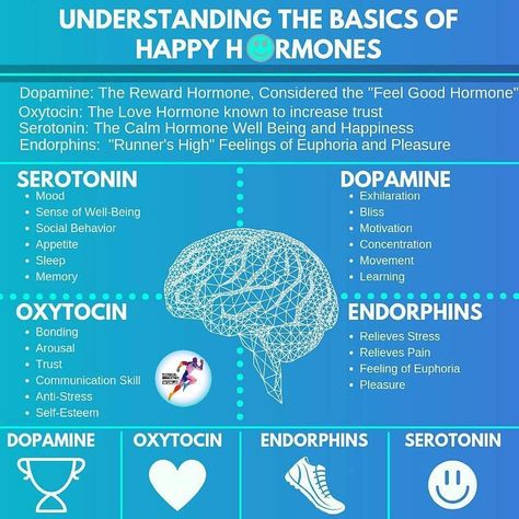 #Repost @physicaleducationworld with @download_repost ・・・ Basics of Happy Hormones 😊  @physicaleducationworld  @physiology__  #physiology… Nervus Vagus, Brain Facts, The Human Brain, Happy Coffee, Happy Hormones, E Mc2, Hormone Health, Medical Knowledge, Human Brain