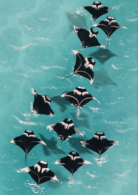 Manta Ray Art, Tropical Underwater, Animal Paintings Acrylic, Manta Rays, Artsy Photos, Beautiful Sea Creatures, Ocean Wallpaper, Manta Ray, Nature Wildlife