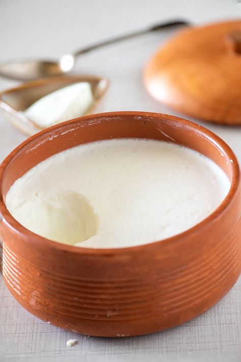 How to Make Yogurt at Home Thick Yogurt, Making Yogurt, Creamy Yogurt, Digestive Problems, Summer Drink Recipes, Calcium Vitamins, Yogurt Maker, Gut Microbiota, Vegan Yogurt