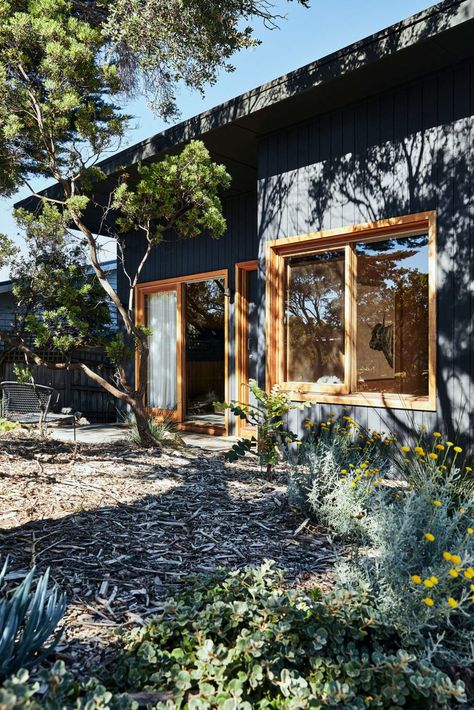 A Renovated 1970s Beach Cabin On The Mornington Peninsula Beach Cabin Exterior, Beach Shack Exterior, 1970s Beach, Writing Studio, Beach Shacks, Cabin Renovation, Outside Paint, Garage Room, Flower House