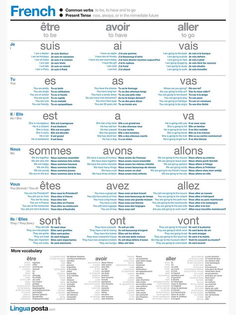 Spanish Regular Verbs, Verbs Poster, French Language Basics, Learn French Beginner, French Basics, French Flashcards, Basic French Words, Study French, Regular Verbs