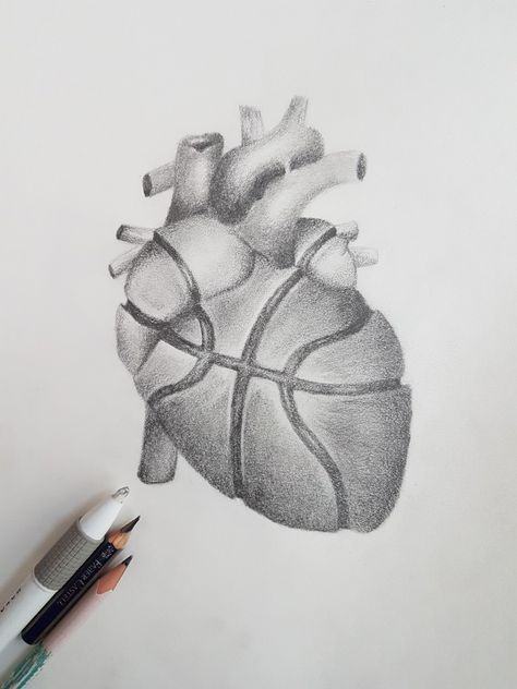 Basketball Sketch Art, Basketball Aesthetic Drawing, Basketball Drawing Ideas, Basketball Drawings Easy, Drawing Ideas Basketball, Drawings Of Basketball, Basketball Art Draw, Basketball Drawings Sketches, Basketball Sketch