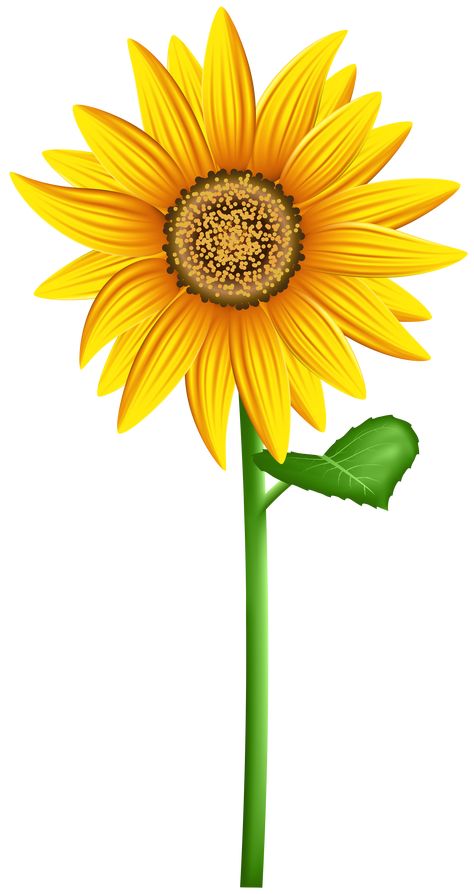 Clip Art Sun, Spring Flower Bouquet, Bouquet Images, Plant Clips, Sunflower Clipart, Free Clipart Images, Flower Art Drawing, Sunflower Png, Daffodil Flower