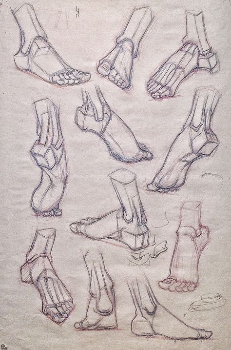 Feet Drawing, Structural Drawing, Human Anatomy Drawing, Human Figure Drawing, Human Anatomy Art, Figure Sketching, 캐릭터 드로잉, Different Angles, 인물 드로잉